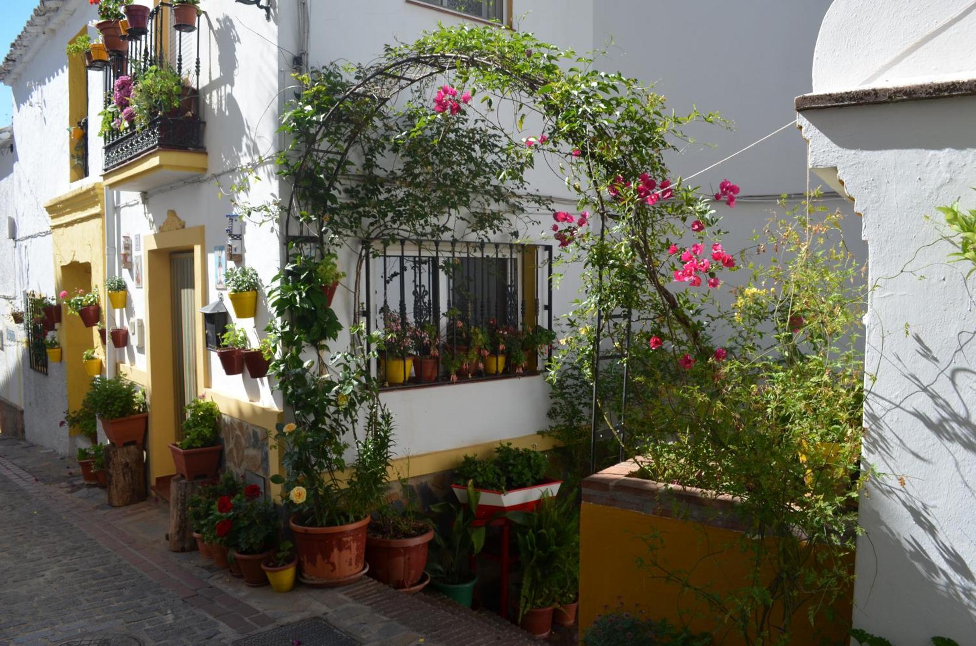 Finca El Molino De Aceite Хубрике Экстерьер фото