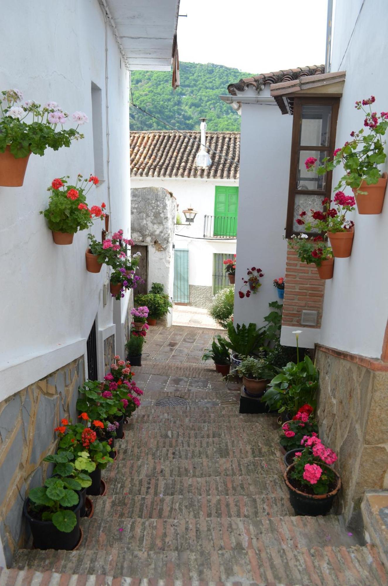 Finca El Molino De Aceite Хубрике Экстерьер фото