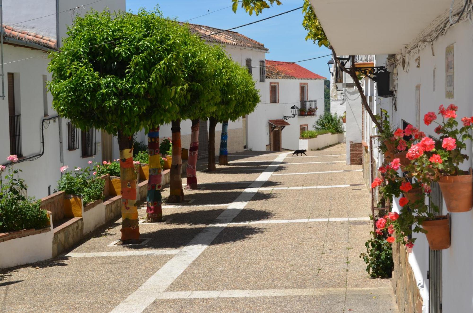 Finca El Molino De Aceite Хубрике Экстерьер фото