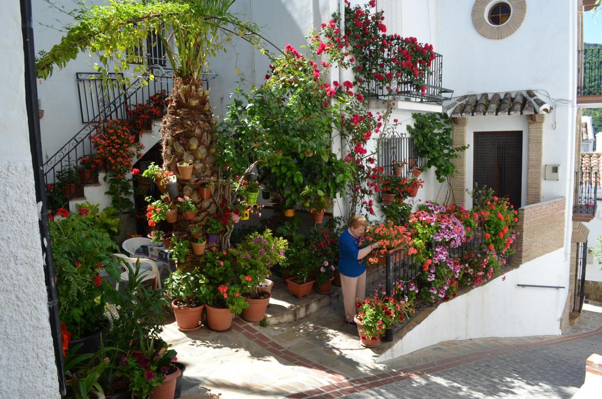 Finca El Molino De Aceite Хубрике Экстерьер фото