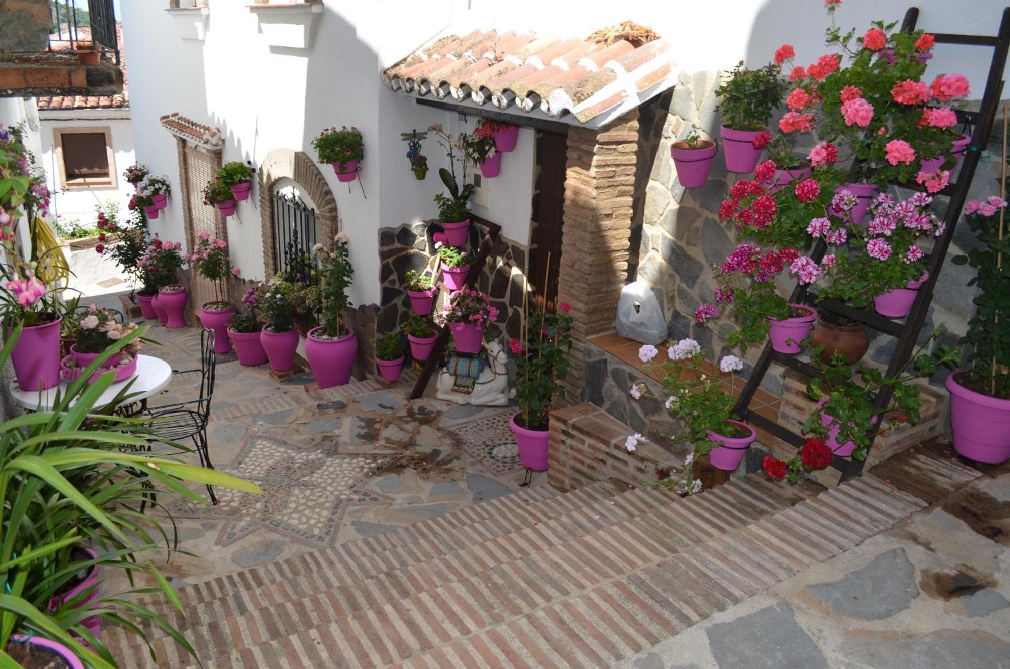 Finca El Molino De Aceite Хубрике Экстерьер фото