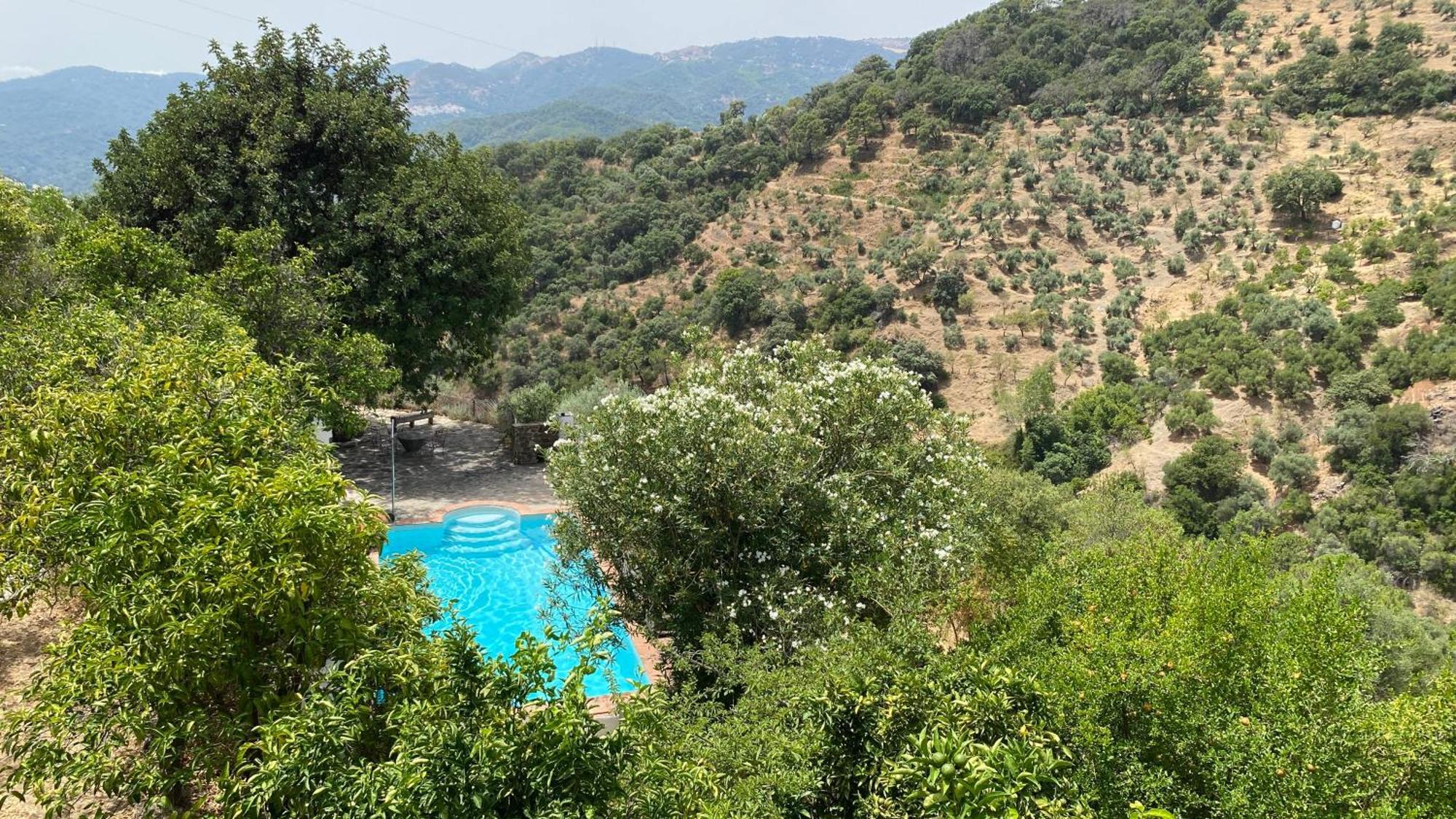 Finca El Molino De Aceite Хубрике Экстерьер фото
